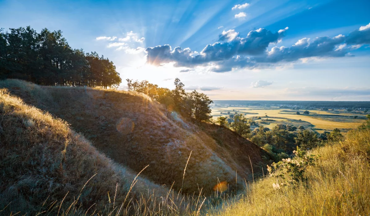 Hvordan kjøpe kontormøbler og tjene penger?