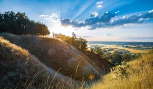 Czy Oddać elektrośmiecie w Gdańsku można tanio?