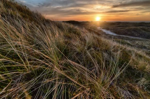 Czy ktoś też lubi wykonać audyt środowiskowy?
